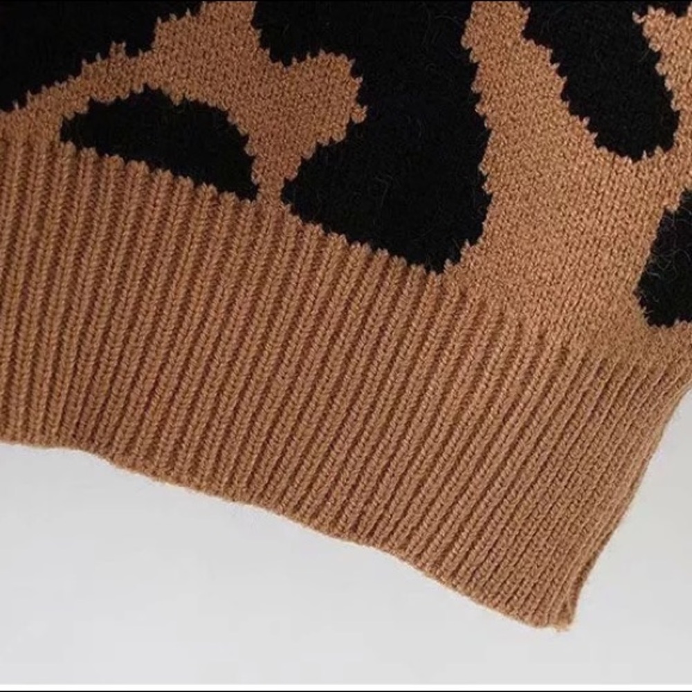 Leopard Knit Sweater - Picture 4 of 8
